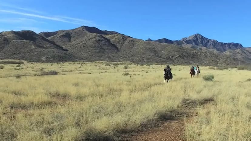 Digital Detox: Arizona Ranch Offers Screen-Free Family Fun