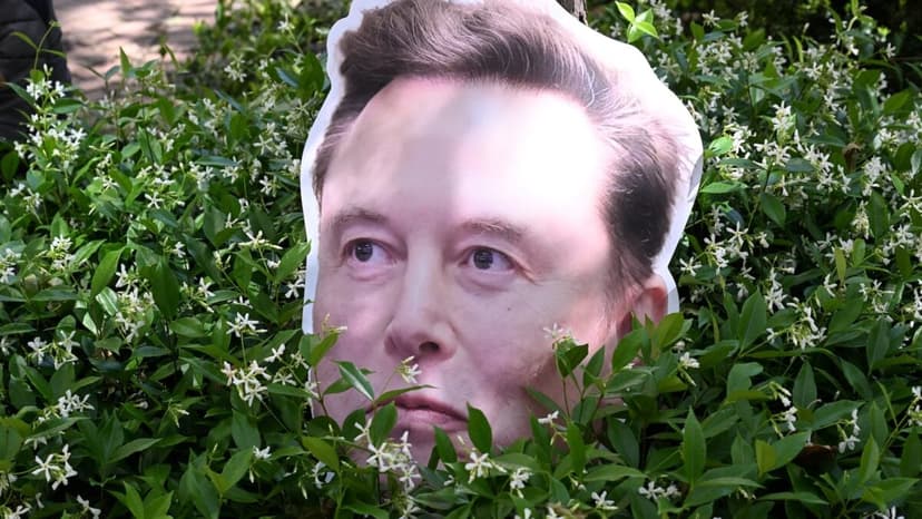 Musk's AI Graph: Genius or Gibberish?