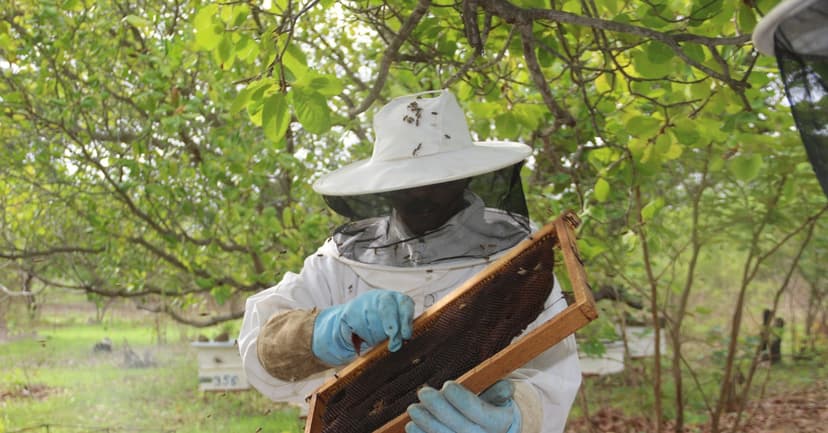 Women's Power Fuels Lasting Climate Solutions