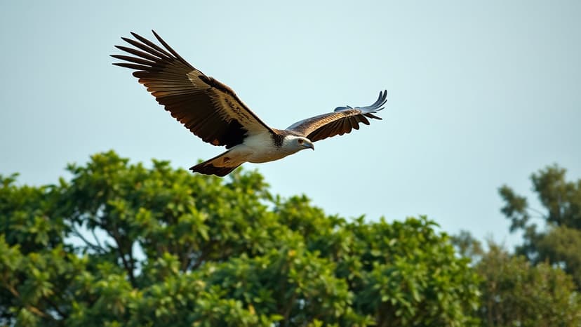 Vultures Fly Free: 15 Critically Endangered Birds Released in India
