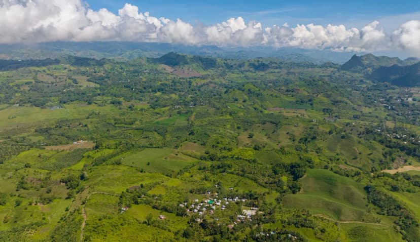Philippine Eagle Soars Back to Critical Habitat