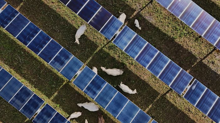 Energy Crisis Fuels Green Shift Hopes