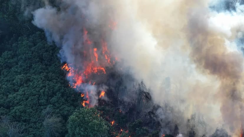 Wildfire Alert: England Faces Exceptional Fire Risk