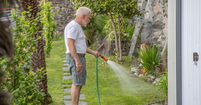 Record Dry Spell Hits England's Water Supplies