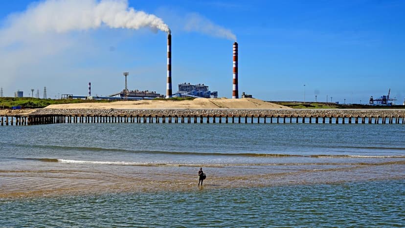 Ennore Creek Funds Delayed, Mussel Invasion Continues