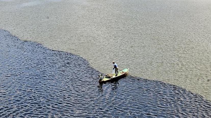 Fish Kill Disaster in Ennore River