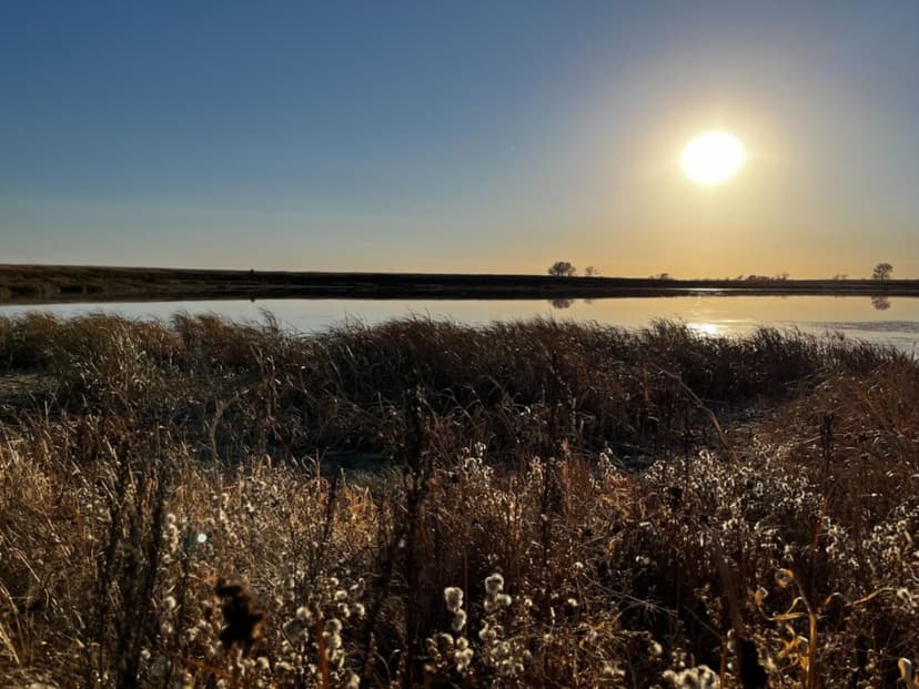 EPA Rollback Threatens Vital Wetlands