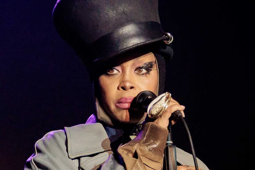 Erykah Badu Halts Show For 'Mean Mugging' Fan