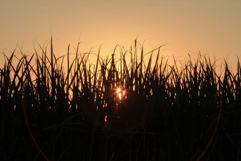 ETG tests investor appetite for first global bond