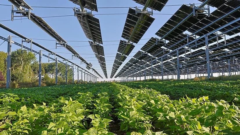 EU Solar Power Surges to Record 25% in June