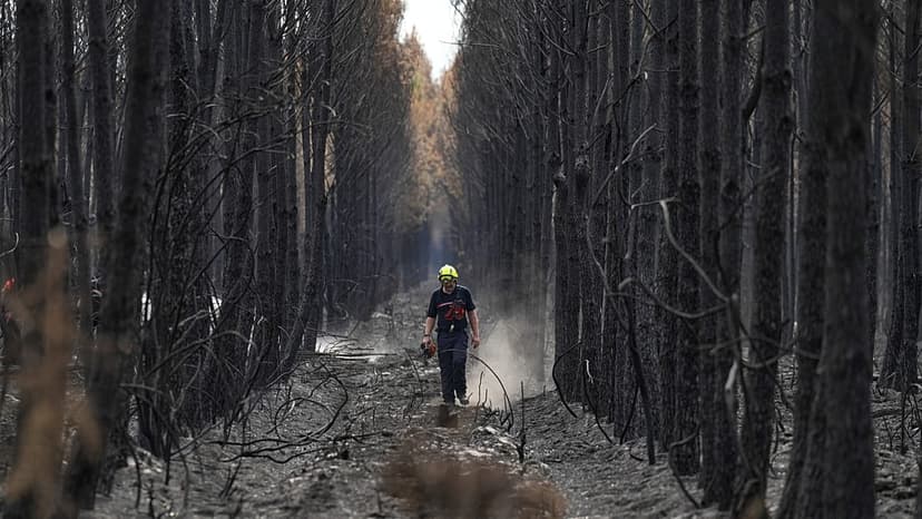 Wildfires Test EU's Emergency System Limits