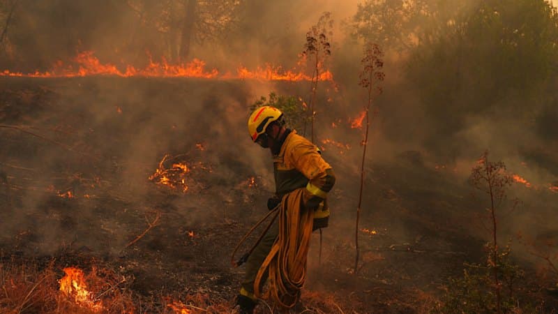 Europe Burns: France, Spain Battle Raging Wildfires