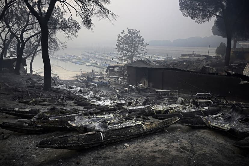 Europe Heatwave Fuels Wildfires Near Madrid & Bordeaux
