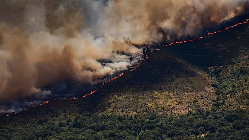 Europe Wildfires Surge: WHO Warns of Health Crisis
