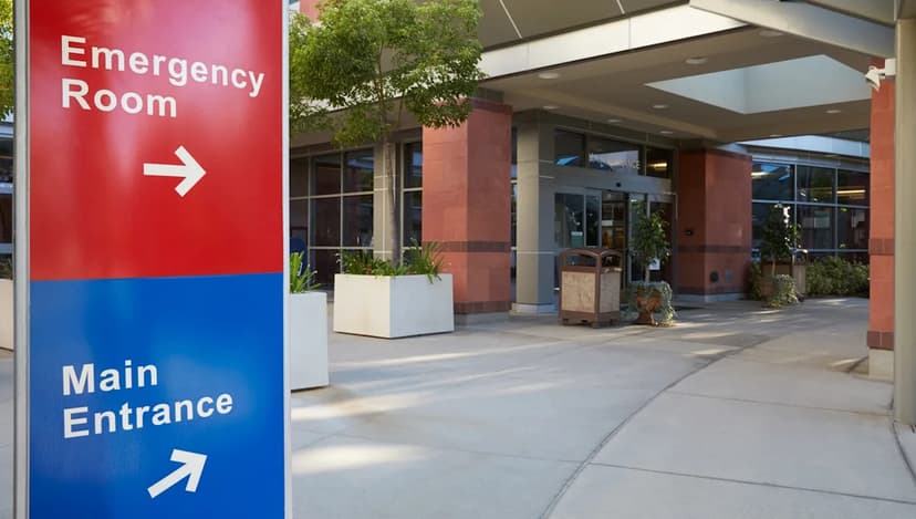 Air Pollution: Europe's Silent Killer Revealed