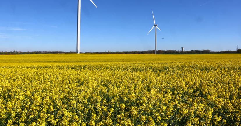 Europe's electrify strategy faces cost hurdle