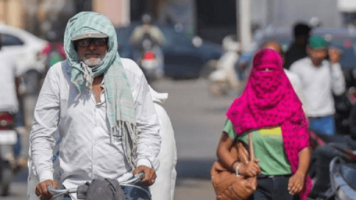 Europe's Hottest Summer Shatters Records, Kills Thousands