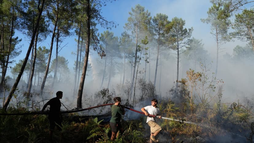 Record Wildfires Threaten Bordeaux, Madrid