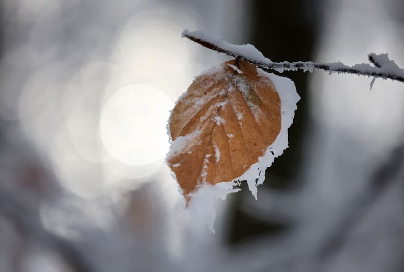Europe's Spring Weather Whodunit: Cold Snaps Ahead?