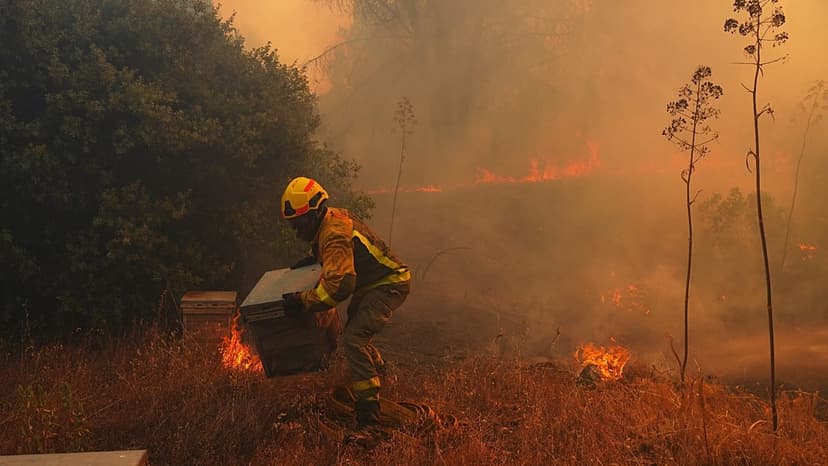 Europe's Children Face 3 Years More Fire Weather
