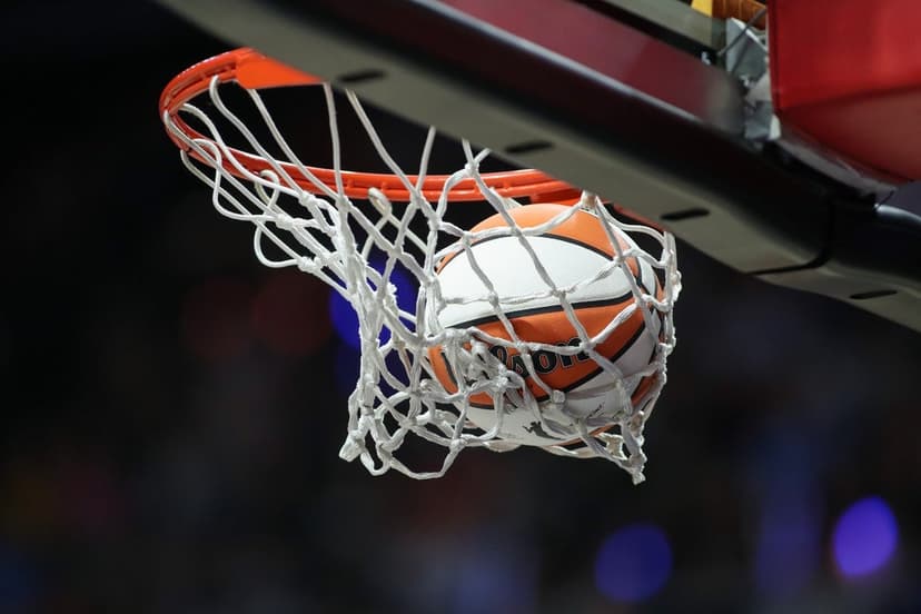 Basketball Writer Joins WNBA Expansion Team