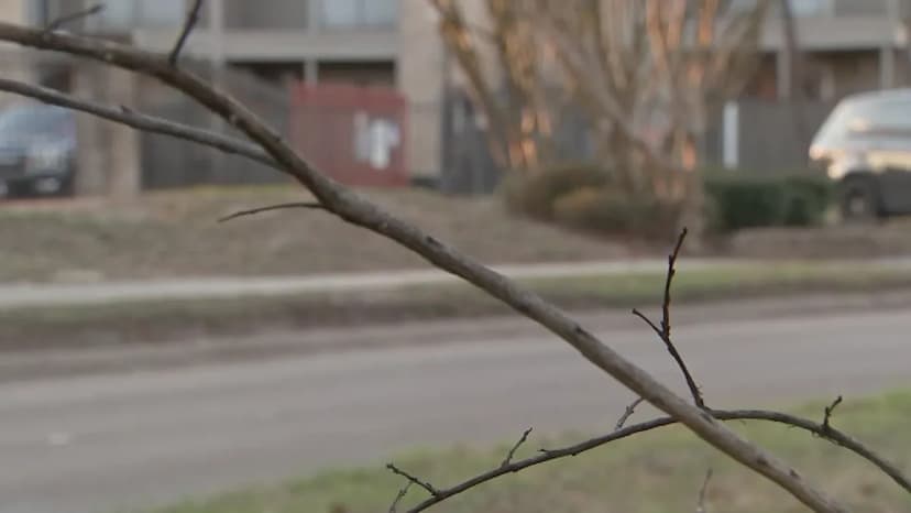 Ex-Cop Faces Charges for Alleged Sexual Harassment