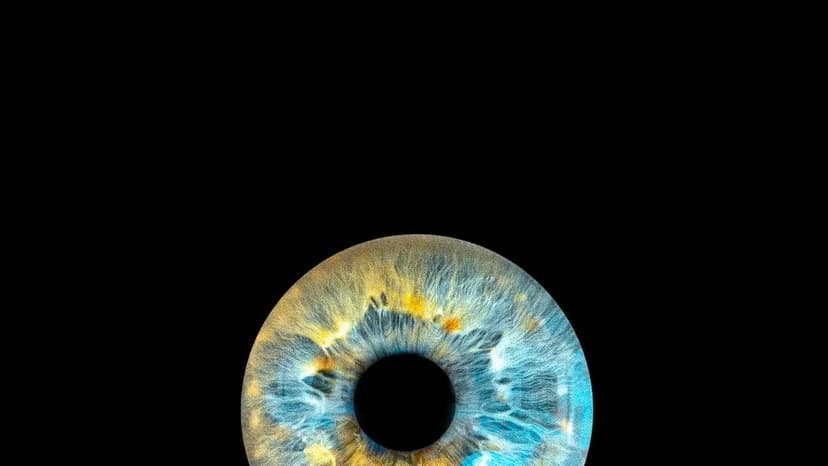 Reboot Your Eyes: Vision Loss Cure Found?