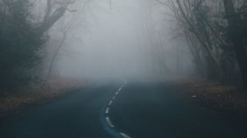 Thick Fog Blankets Texas, Drivers Urged to Proceed with Caution