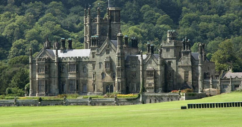 Discover Enchanted Fairy Village in Welsh Country Park