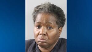 Woman Posed as CPS to Kidnap Boy