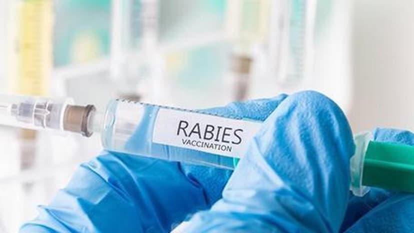 Fake Rabies Shots Worth ₹2 Lakh Found in Bhagirath Palace