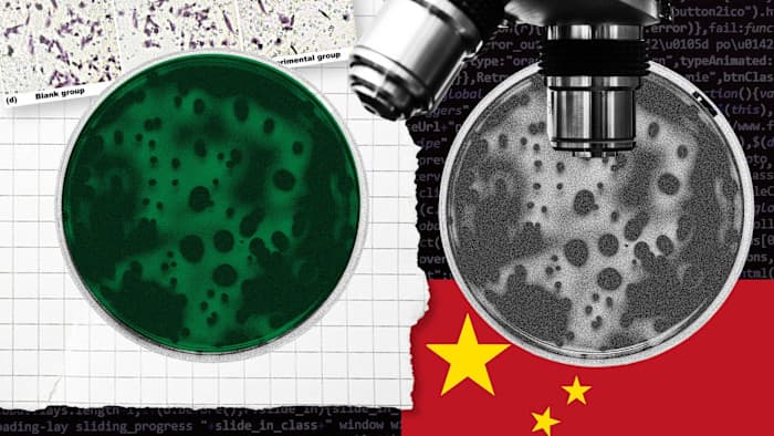 Global Science Trust Erodes Amidst Research Fraud