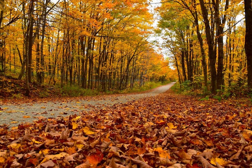 Equinox Marks Fall's Start Amid Record Summer Heat
