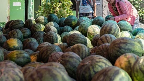 Family of Four Dies After Eating Watermelon