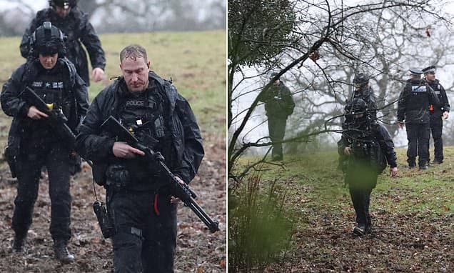 Armed Police Raid Farm After Dog Kills 23 Sheep