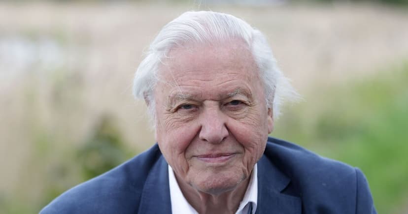 Puffin Paradise: Farne Islands Wildlife Spectacle