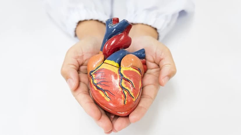 FDA Greenlights Next-Gen Heart Transplant Trial