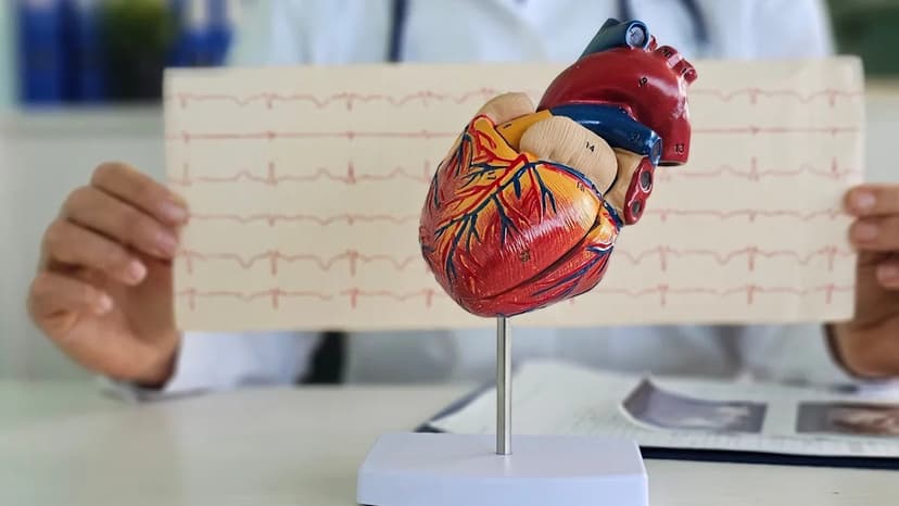 FDA Fast Track for Rare Heart Disease Drug