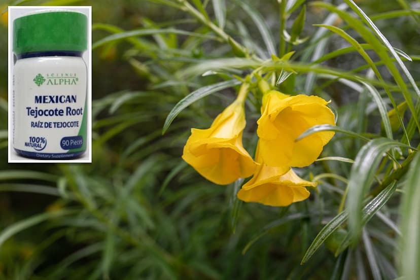 FDA Warns: 'Weight Loss' Pills Contain Deadly Toxin