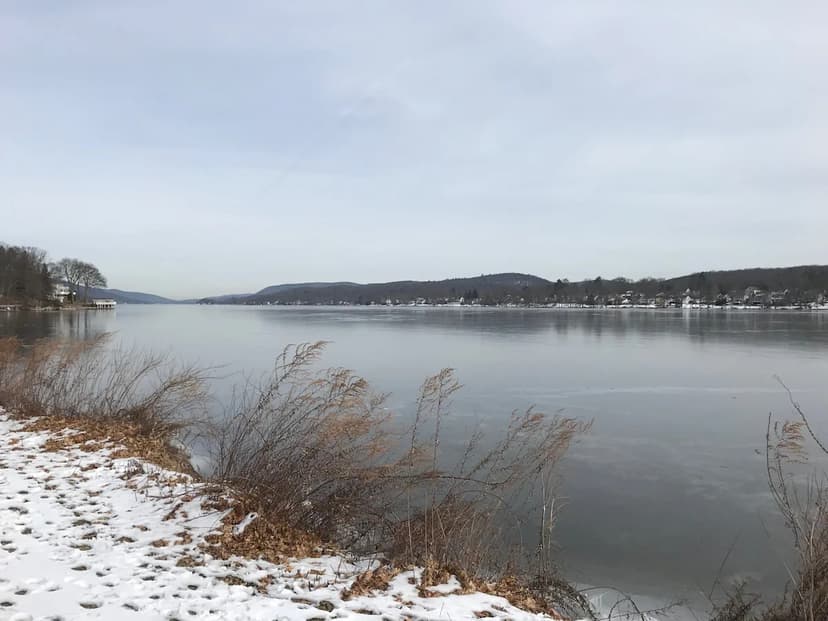 Grant sought to clear creek for better kayak access