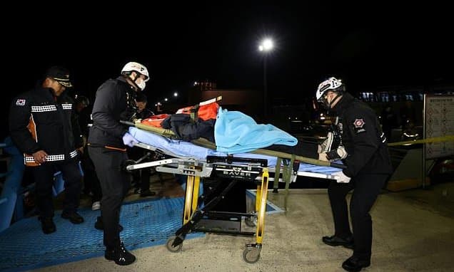 Phone Distraction Causes Ferry to Run Aground