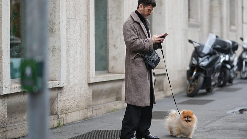 Your Dog's Health, Now Smarter with AI