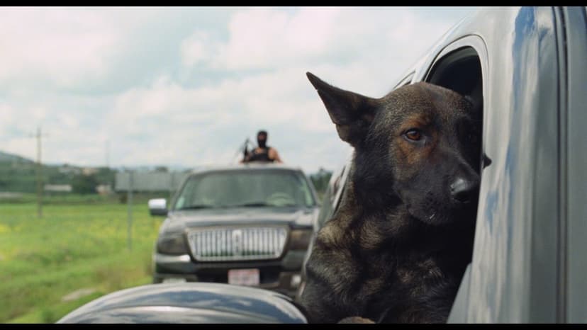 Dog's Love Heals a Wounded Vet in Mexico