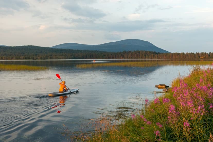 Finland: Nature's Rx for Stress
