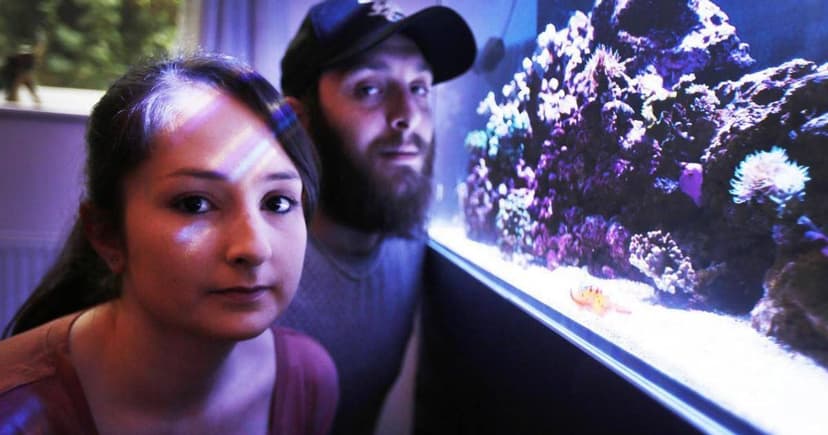 Hidden Danger: Aquarium Coral Unleashes Lethal Toxin