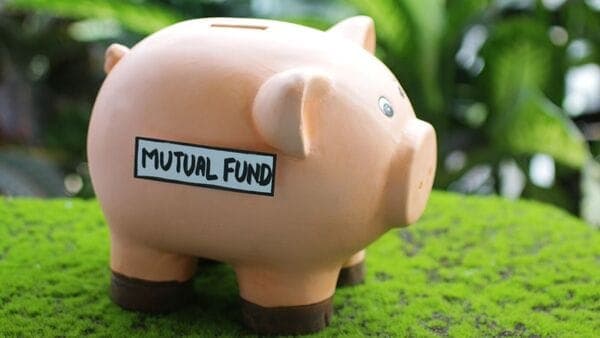 Retail Investors Flock to Flexi-Cap Funds for Stability