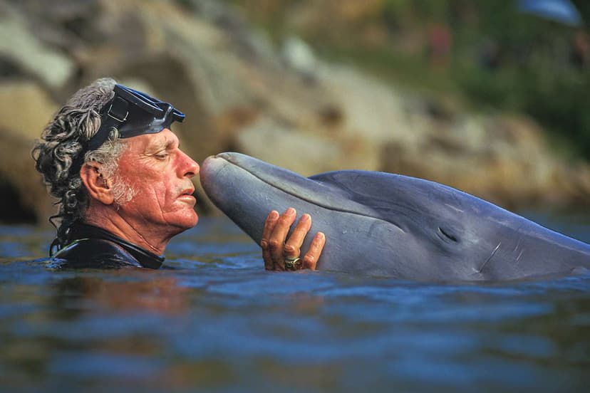 Flipper Trainer's Mission: Free Captive Dolphins