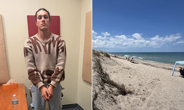 Migrant Arrested After Alleged Beach Drowning Attempt