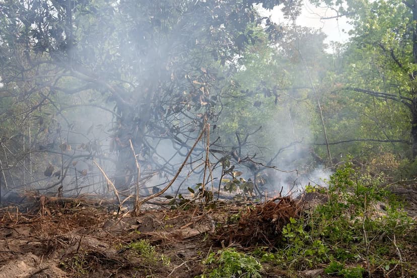 Severe Storms Target Florida Drought
