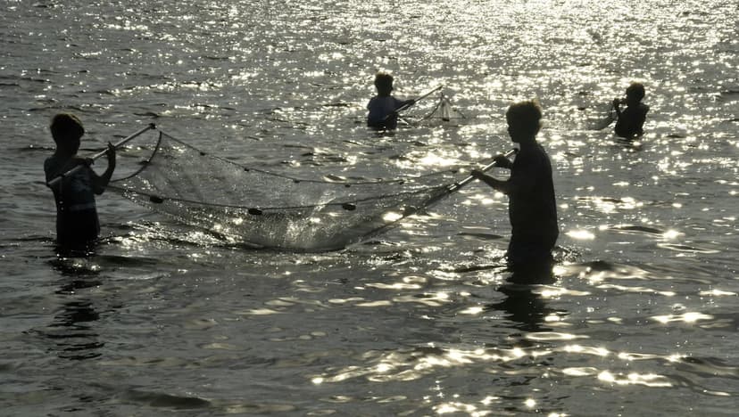 Florida's Future: Young Experts Tackle Water Crisis